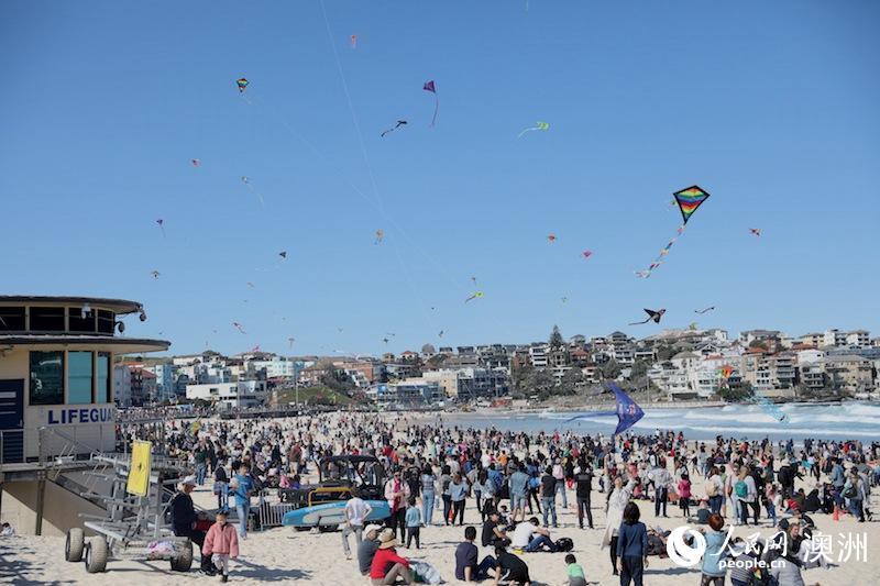 澳大利亚最大风筝节在悉尼举行 吸引数万人参加 