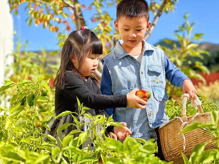 市中区雅苑幼儿园：一所家门口的生态乐园