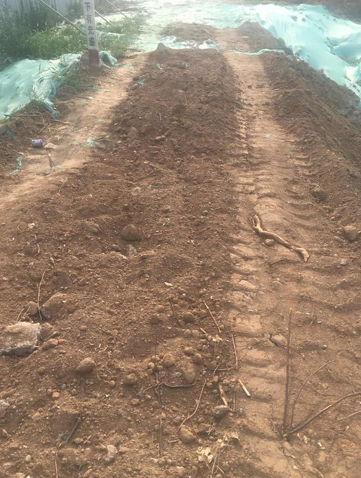 【啄木鸟在行动】通发大道及海棠路交汇处渣土覆盖不全