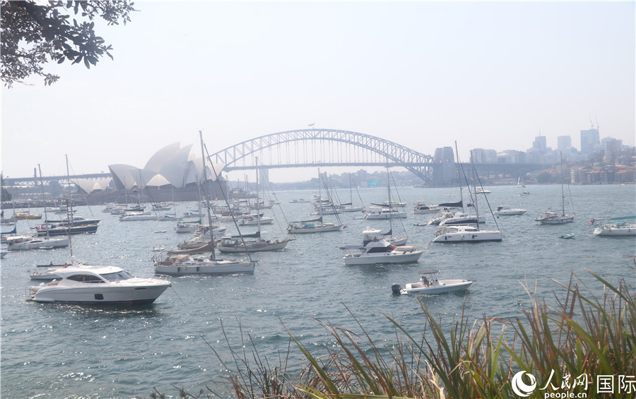 全球游客不惧高温汇聚悉尼港 等待2020年悉尼烟花盛典