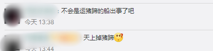 东莞海滩出现大量猪蹄目测过万，警方已介入！网友：不明来源真的好吓人