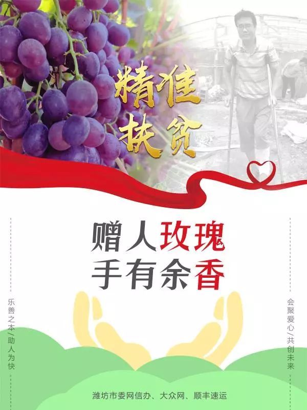 潍坊3万多斤葡萄即将烂在枝头，无人收....求助!!!