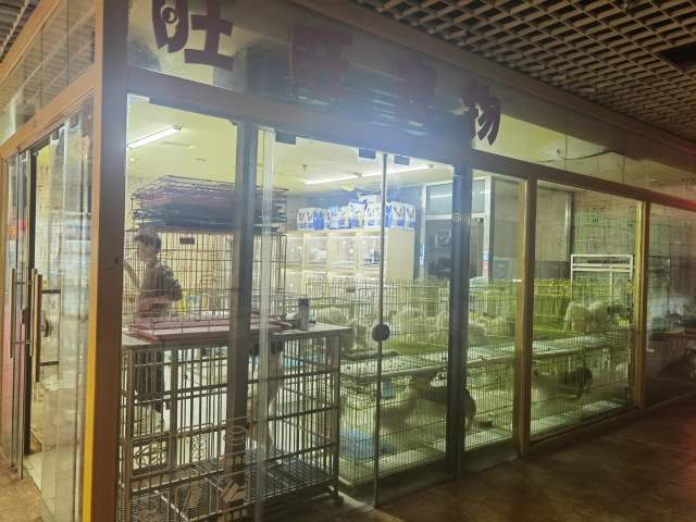 宠物狗价格下降三分之一？记者实探宠物市场“买得不多，逛得多”
