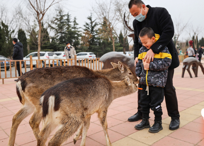 春节假期接待游客量突破百万人次 济南文旅集团交出亮眼“成绩单”