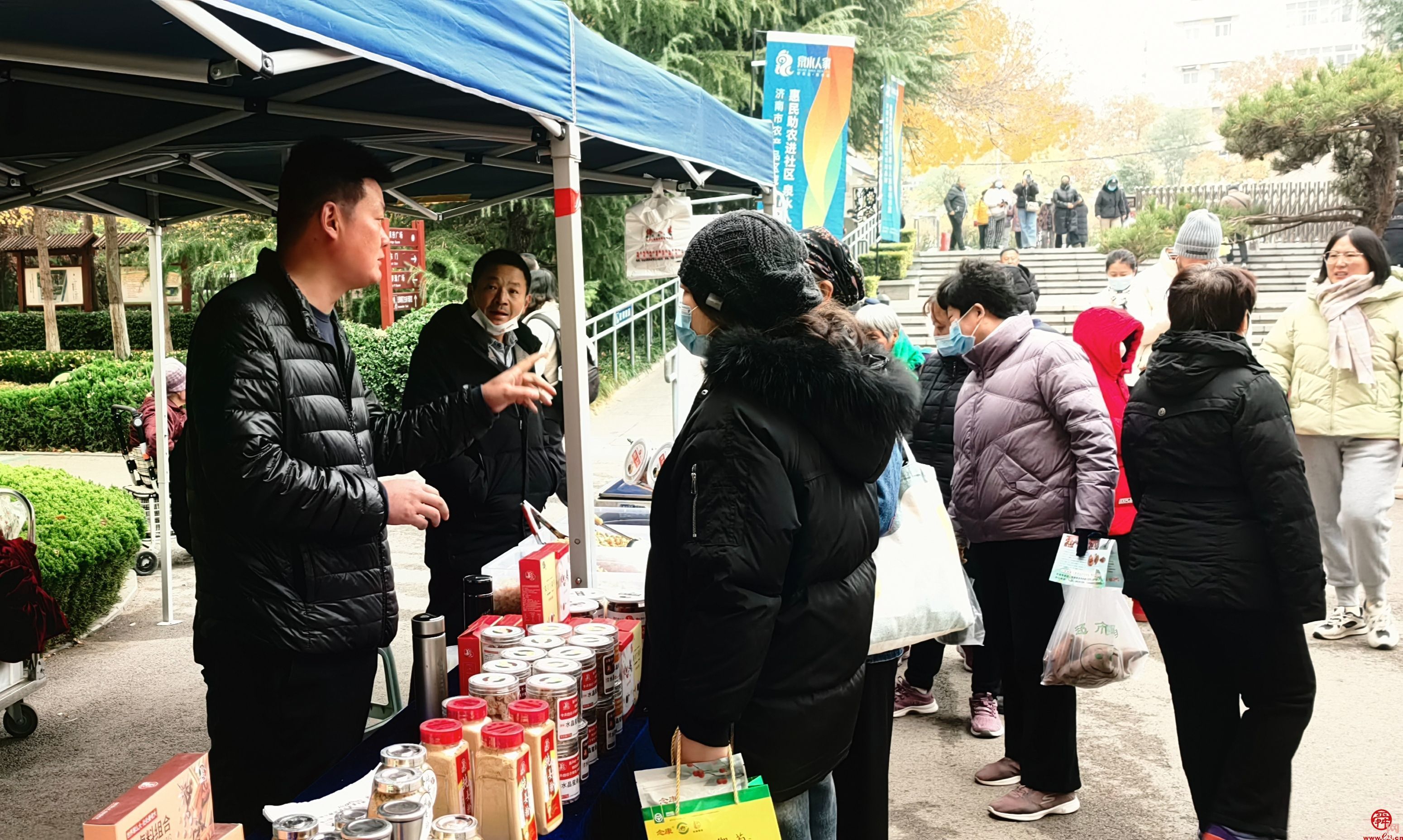 做好农产品的“传送带”  花圃公园里亮出“泉水人家”新冬景