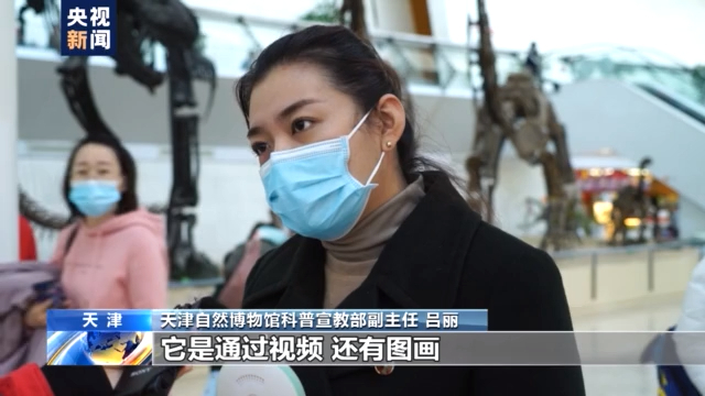 标本“活”起来 古动物明星圈粉百万 带你探秘天津自然博物馆
