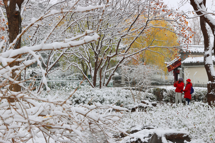 雾霭升腾 宛若仙境！雪后济南冬韵曼妙入画来  