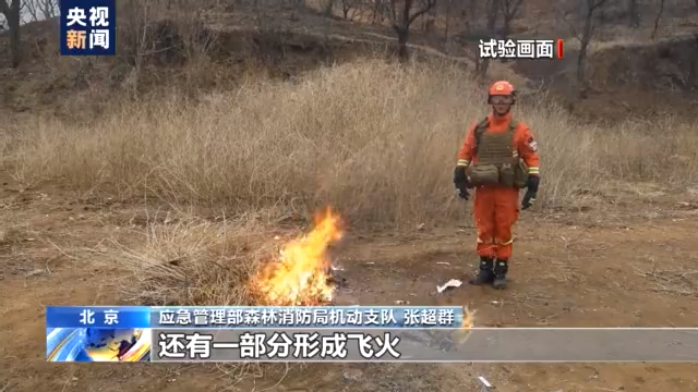 又到清明，因祭扫引发的森林火灾竟有这么多起？后果很严重