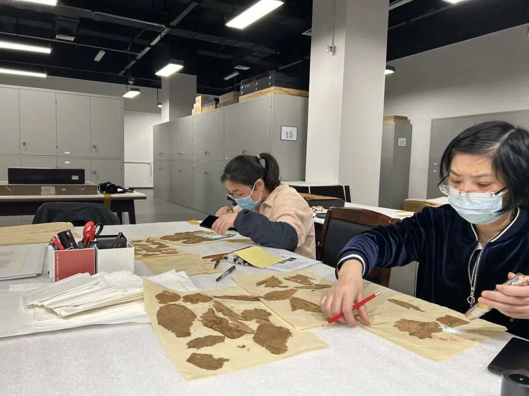 马王堆汉墓新发现:丝织品中织有成句吉祥语