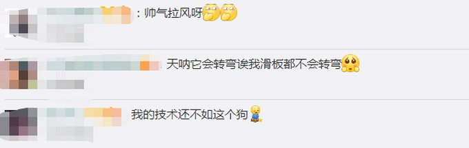 人不如狗！斗牛犬一个月学会滑板还能拐弯 网友：最牛车队