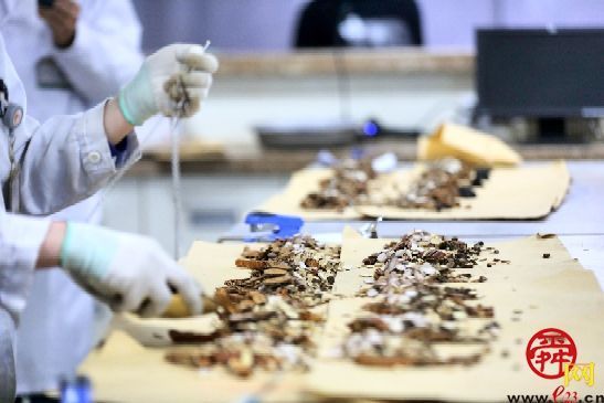 药剂师：能文能武 助人健康手有余香