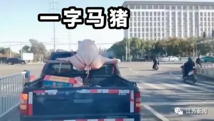 二师兄劈叉被绑皮卡车顶 车主：儿子结婚的聘礼，亲家让这么绑的