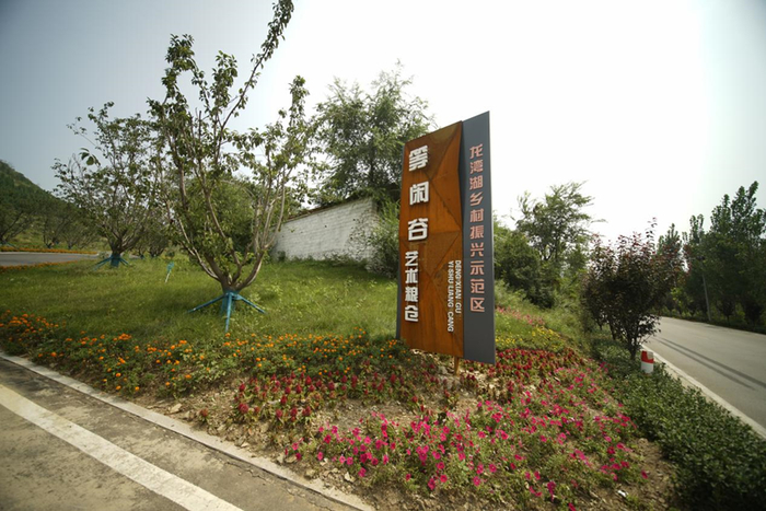 旅游如何助力乡村振兴？临沂代村、济宁龙湾湖成“世界典范”