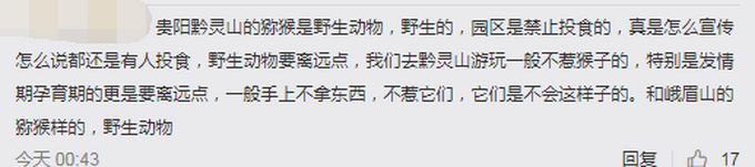 危险！小女孩拿食物喂食，遭黔灵山猕猴抓住手反咬一口