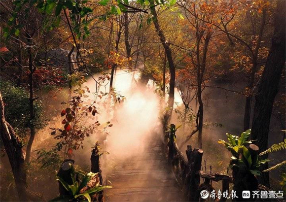金色朝阳穿过秋雾，让济南莱芜小山谷变身仙境