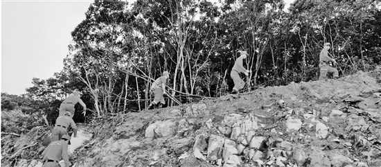 女租客十多年没回过老家 借了40多万没还钱