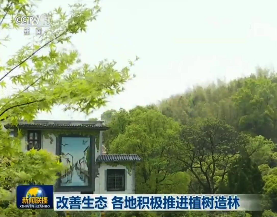 改善生态 各地积极推进植树造林