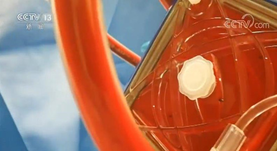 为生命而战！这里是抗疫一线守护生命的最后一道防线