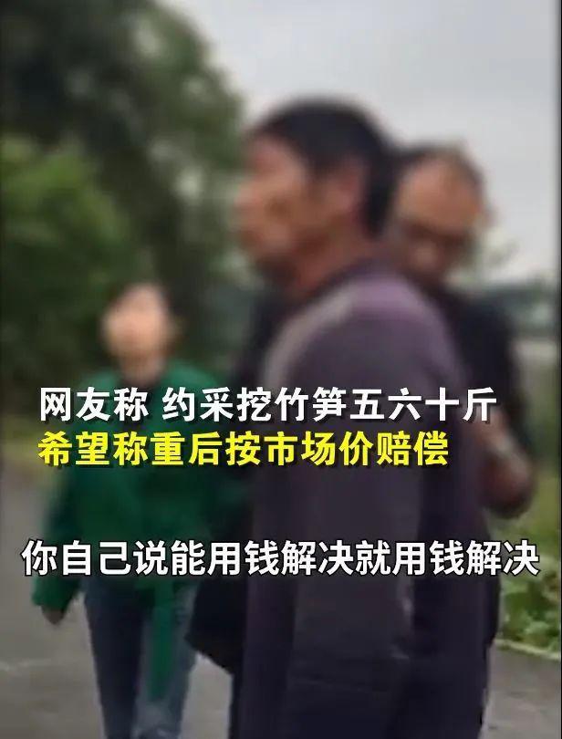 还“笋”吗？官方通报游客私挖竹笋：损失1000斤以上，赔偿1500元