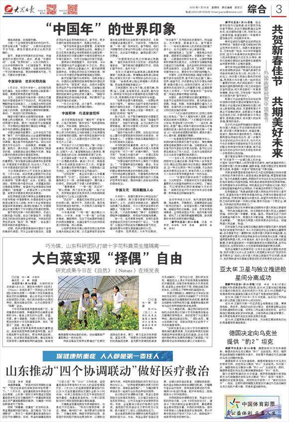 大白菜实现“择偶”自由