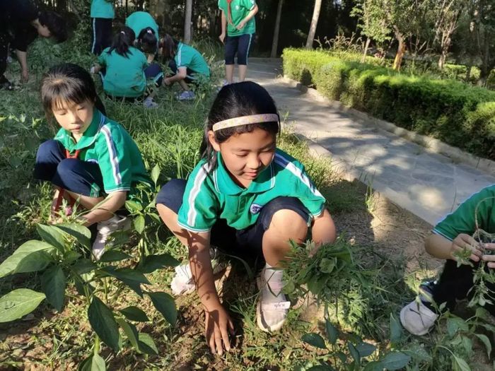 辣酱是这样诞生的！商河县滨河实验学校推体验式劳动教育