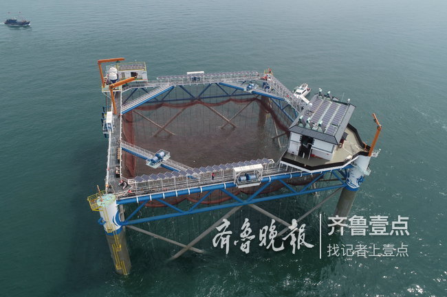 国内首座智能化网箱安家烟台大钦岛，每年能养千吨鱼