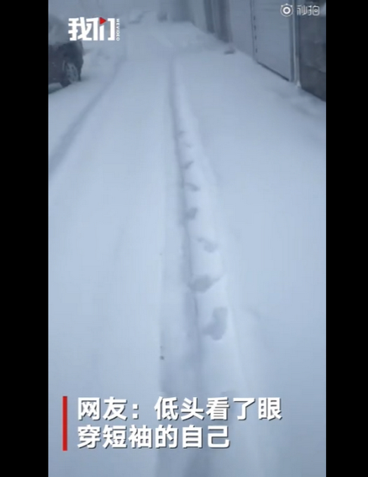 黑龙江吉林多地降雪，当地居民直呼出不去屋！网友：看了眼穿短袖的自己