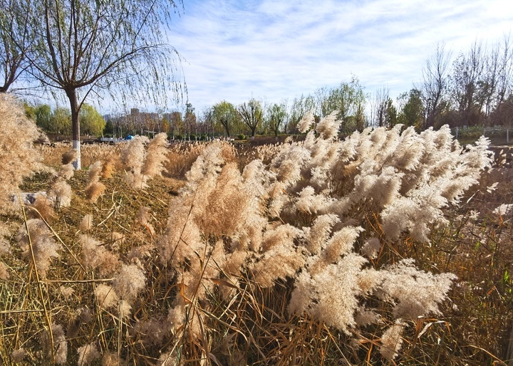 济南华山片区再添大型街心公园