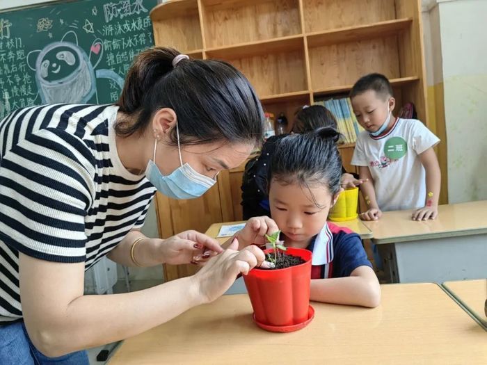 长清区平安中心小学：以“小种子”课程推动幼小科学进阶