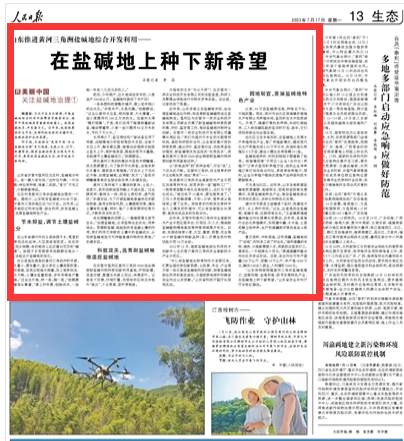 人民日报关注黄河三角洲盐碱地治理：在盐碱地上种下新希望