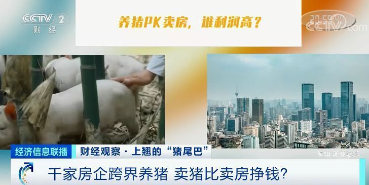 猪肉价格反弹！房企抢滩 卖猪比卖房挣钱？