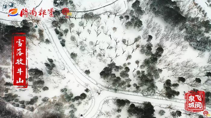 【飞阅泉城】雪落牧牛山绘就绝美水墨丹青