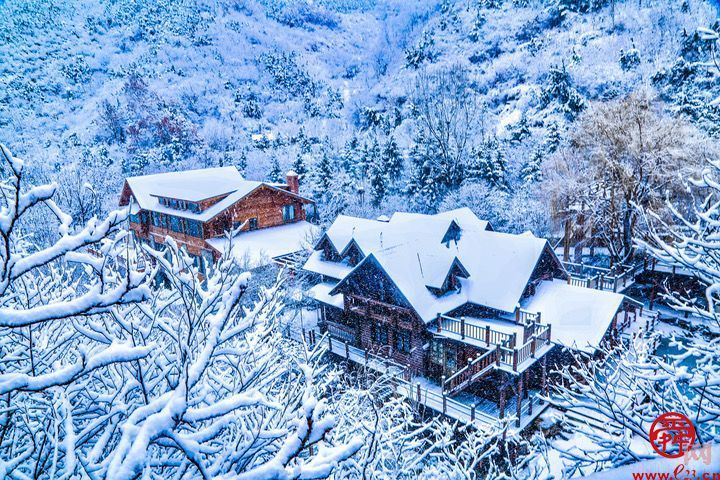 雪落冬藏！九如山迎来鹅毛大雪，银装素裹美如画