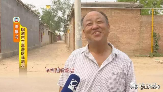 真是一段奇妙的“羁绊”！聊城一男子3年被鸟啄70多次