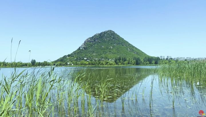 “兹山何峻秀 绿翠如芙蓉” 华山景区再现往日喧闹