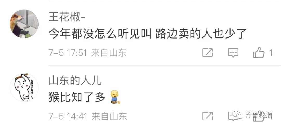 知了猴110元一斤，今年涨10-15元！网友：摸的人比知了猴还多