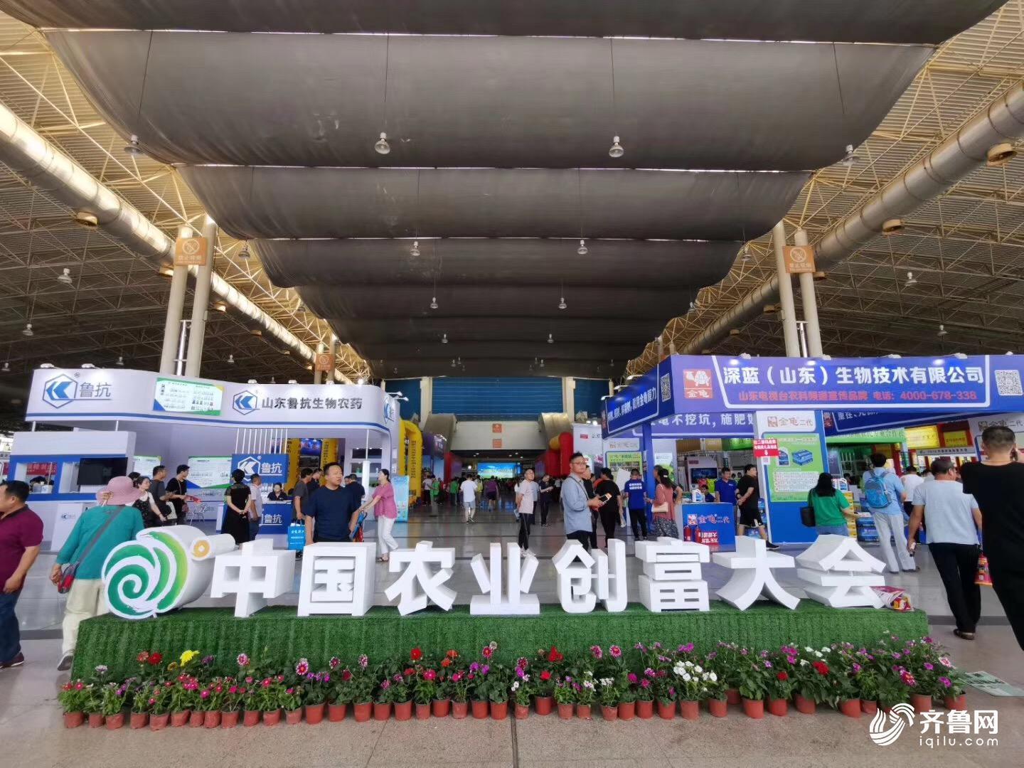 第二届中国农业创富大会在潍坊成功举办 四大板块十多项主题活动