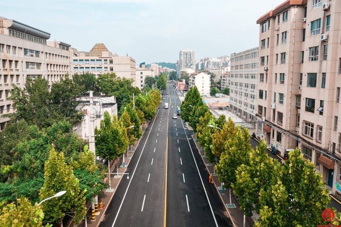 春天里的历下：一幅生机盎然的生态画卷