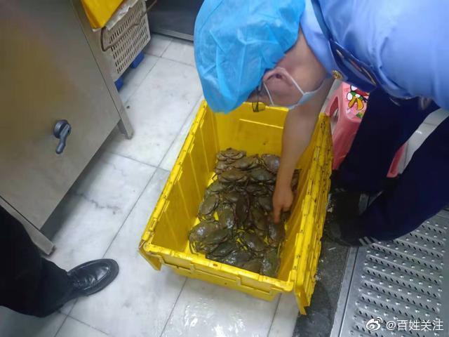 杭州约谈胖哥俩肉蟹煲，北京胖哥俩在执法人员检查前丢弃食材