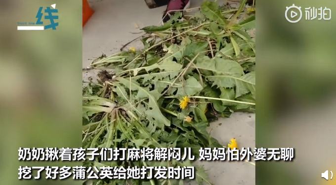 神仙友谊!92岁外婆带83岁奶奶摸河蚌 