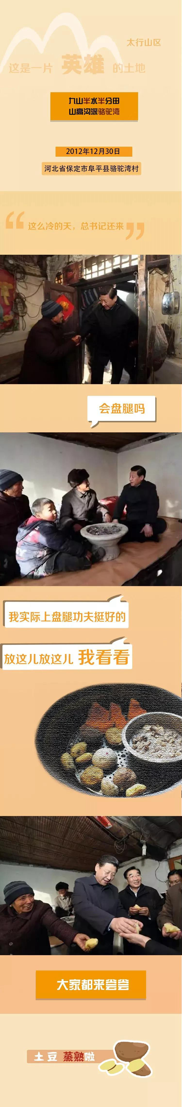 一枝一叶总关情丨骆驼湾：土豆香里话脱贫