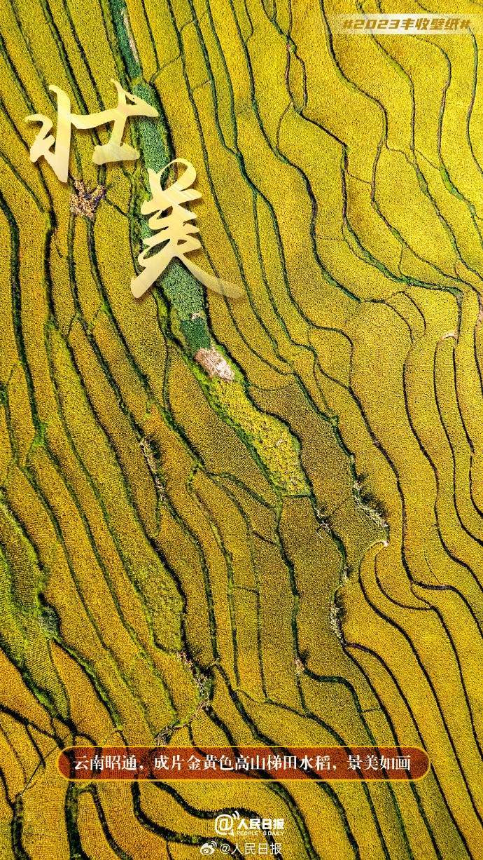 俯瞰丰收大地，美成了壁纸
