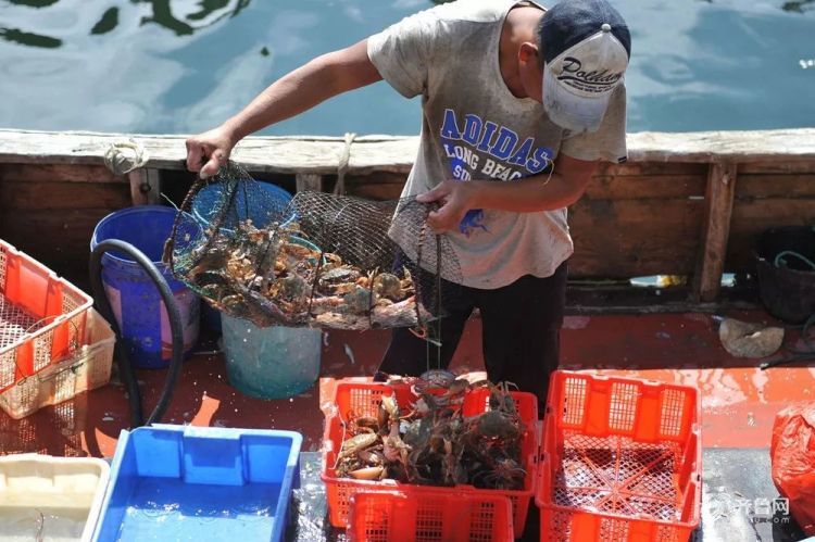 山东十二时辰，每一秒都hin惊艳