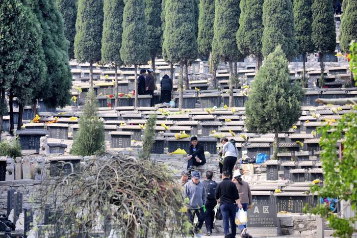 祭祀献花寄哀思 今日清明更文明