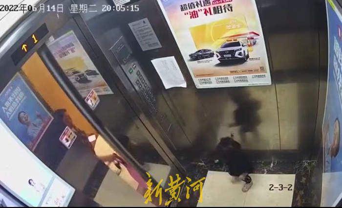 杭州女童坠亡案被告人曾号称“金牌保姆” 女童父亲：爱撒谎很懒散，对小孩冷漠