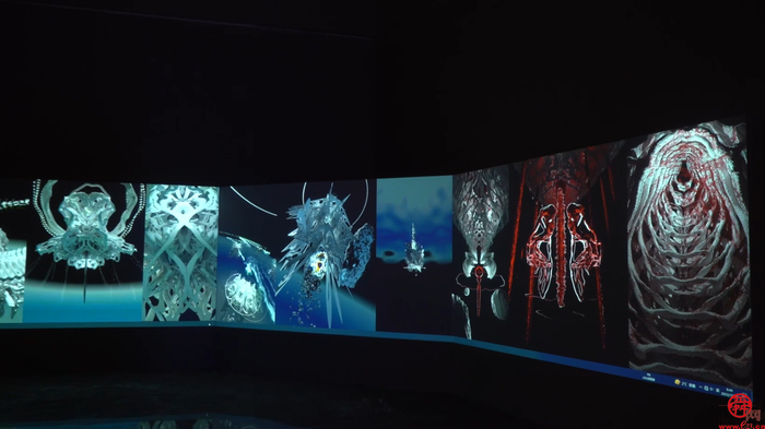 舜视频丨双年展上过大年 体验济南国际艺术范儿