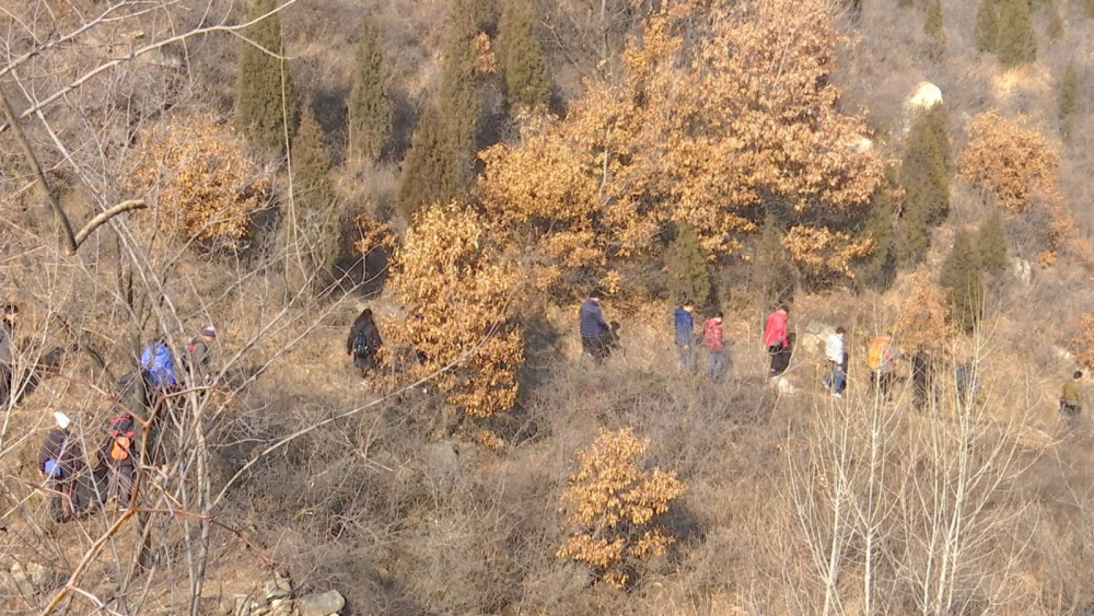 济南网红“狮身人面像”每天引千名游客打卡  系统化管理有待探讨