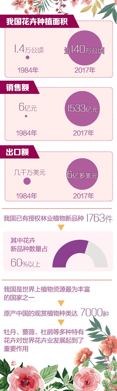 花卉离“日常消费品”有多远？2017年销售额1533亿