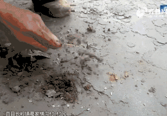 日照莒县“户户通”道路爆皮开花，手指抠到土，副镇长：天太冷了