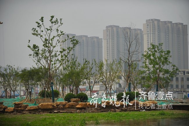 连通大明湖小清河，济南云锦湖公园惊艳初显型！